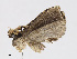  ( - CBG-A13285-F08)  @11 [ ] CreativeCommons - Attribution Share-Alike (2023) CBG Photography Group Centre for Biodiversity Genomics