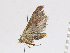  ( - CBG-A13285-G05)  @11 [ ] CreativeCommons - Attribution Share-Alike (2023) CBG Photography Group Centre for Biodiversity Genomics