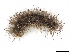  ( - CBG-A13285-H04)  @11 [ ] CreativeCommons - Attribution (2023) CBG Photography Group Centre for Biodiversity Genomics