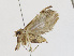  ( - CBG-A13286-A02)  @11 [ ] CreativeCommons - Attribution Share-Alike (2023) CBG Photography Group Centre for Biodiversity Genomics