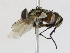  ( - CBG-A13286-A03)  @11 [ ] CreativeCommons - Attribution Share-Alike (2023) CBG Photography Group Centre for Biodiversity Genomics