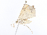  ( - CBG-A13297-H01)  @11 [ ] CreativeCommons - Attribution Share - Alike (2023) CBG Photography Group Centre for Biodiversity Genomics
