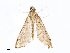  ( - CBG-A13297-H07)  @11 [ ] CreativeCommons - Attribution Share - Alike (2023) CBG Photography Group Centre for Biodiversity Genomics