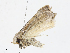  ( - CBG-A13298-A03)  @11 [ ] CreativeCommons - Attribution Share - Alike (2023) CBG Photography Group Centre for Biodiversity Genomics