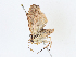  ( - CBG-A13298-C10)  @11 [ ] CreativeCommons - Attribution Share - Alike (2023) CBG Photography Group Centre for Biodiversity Genomics