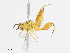  ( - CBG-A13298-E01)  @11 [ ] CreativeCommons - Attribution Share - Alike (2023) CBG Photography Group Centre for Biodiversity Genomics