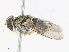  ( - CBG-A13301-G07)  @11 [ ] CreativeCommons - Attribution Share - Alike (2023) CBG Photography Group Centre for Biodiversity Genomics