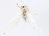  ( - CBG-A10807-B07)  @11 [ ] CreativeCommons - Attribution Share - Alike (2023) CBG Photography Group Centre for Biodiversity Genomics