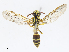  ( - CBG-A10807-C06)  @11 [ ] CreativeCommons - Attribution Share - Alike (2023) CBG Photography Group Centre for Biodiversity Genomics