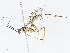  ( - CBG-A10807-C07)  @11 [ ] CreativeCommons - Attribution Share - Alike (2023) CBG Photography Group Centre for Biodiversity Genomics