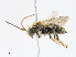  ( - CBG-A10808-D06)  @11 [ ] CreativeCommons - Attribution Share - Alike (2023) CBG Photography Group Centre for Biodiversity Genomics