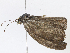  ( - CBG-A10809-B08)  @11 [ ] CreativeCommons - Attribution Share - Alike (2023) CBG Photography Group Centre for Biodiversity Genomics