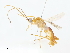  ( - CBG-A10810-B07)  @11 [ ] CreativeCommons - Attribution Share - Alike (2023) CBG Photography Group Centre for Biodiversity Genomics