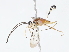  ( - CBG-A10810-F08)  @11 [ ] CreativeCommons - Attribution Share - Alike (2023) CBG Photography Group Centre for Biodiversity Genomics