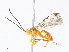  ( - CBG-A10810-G11)  @11 [ ] CreativeCommons - Attribution Share - Alike (2023) CBG Photography Group Centre for Biodiversity Genomics