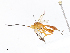  ( - CBG-A10810-H02)  @11 [ ] CreativeCommons - Attribution Share - Alike (2023) CBG Photography Group Centre for Biodiversity Genomics