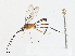  ( - CBG-A10811-A04)  @11 [ ] CreativeCommons - Attribution Share - Alike (2023) CBG Photography Group Centre for Biodiversity Genomics