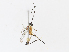 ( - CBG-A10811-A12)  @11 [ ] CreativeCommons - Attribution Share - Alike (2023) CBG Photography Group Centre for Biodiversity Genomics