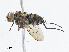  ( - CBG-A10812-C01)  @11 [ ] CreativeCommons - Attribution Share - Alike (2023) CBG Photography Group Centre for Biodiversity Genomics
