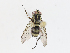  ( - CBG-A10812-C03)  @11 [ ] CreativeCommons - Attribution Share - Alike (2023) CBG Photography Group Centre for Biodiversity Genomics