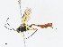 ( - CBG-A10812-C10)  @11 [ ] CreativeCommons - Attribution Share - Alike (2023) CBG Photography Group Centre for Biodiversity Genomics