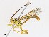 ( - CBG-A13297-E02)  @11 [ ] CreativeCommons - Attribution Share - Alike (2023) CBG Photography Group Centre for Biodiversity Genomics