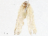  ( - CBG-A05383-D05)  @11 [ ] CreativeCommons - Attribution (2023) CBG Photography Group Centre for Biodiversity Genomics
