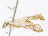  ( - CBG-A05384-A06)  @11 [ ] CreativeCommons - Attribution (2023) CBG Photography Group Centre for Biodiversity Genomics