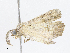  ( - CBG-A05384-B04)  @11 [ ] CreativeCommons - Attribution (2023) CBG Photography Group Centre for Biodiversity Genomics