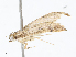  ( - CBG-A05384-B08)  @11 [ ] CreativeCommons - Attribution (2023) CBG Photography Group Centre for Biodiversity Genomics