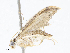  ( - CBG-A05384-B09)  @11 [ ] CreativeCommons - Attribution (2023) CBG Photography Group Centre for Biodiversity Genomics