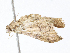  ( - CBG-A05384-B11)  @11 [ ] CreativeCommons - Attribution (2023) CBG Photography Group Centre for Biodiversity Genomics