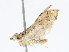  ( - CBG-A05384-C04)  @11 [ ] CreativeCommons - Attribution (2023) CBG Photography Group Centre for Biodiversity Genomics