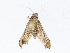  ( - CBG-A05384-C07)  @11 [ ] CreativeCommons - Attribution (2023) CBG Photography Group Centre for Biodiversity Genomics