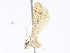  ( - CBG-A05384-C09)  @11 [ ] CreativeCommons - Attribution (2023) CBG Photography Group Centre for Biodiversity Genomics