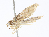  ( - CBG-A05384-C10)  @11 [ ] CreativeCommons - Attribution (2023) CBG Photography Group Centre for Biodiversity Genomics