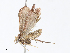  ( - CBG-A05384-C12)  @11 [ ] CreativeCommons - Attribution (2023) CBG Photography Group Centre for Biodiversity Genomics