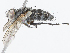  ( - CBG-A05384-E01)  @11 [ ] CreativeCommons - Attribution (2023) CBG Photography Group Centre for Biodiversity Genomics