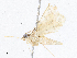  ( - CBG-A05385-A02)  @11 [ ] CreativeCommons - Attribution (2023) CBG Photography Group Centre for Biodiversity Genomics