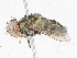  ( - CBG-A05385-C05)  @11 [ ] CreativeCommons - Attribution (2023) CBG Photography Group Centre for Biodiversity Genomics