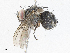  ( - CBG-A06254-A01)  @11 [ ] CreativeCommons - Attribution (2023) CBG Photography Group Centre for Biodiversity Genomics