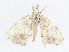  ( - CBG-A06254-D02)  @11 [ ] CreativeCommons - Attribution (2023) CBG Photography Group Centre for Biodiversity Genomics