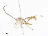  ( - CBG-A06255-B04)  @11 [ ] CreativeCommons - Attribution (2023) CBG Photography Group Centre for Biodiversity Genomics