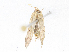  ( - CBG-A06255-F10)  @11 [ ] CreativeCommons - Attribution (2023) CBG Photography Group Centre for Biodiversity Genomics