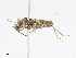  ( - CBG-A06257-F02)  @11 [ ] CreativeCommons - Attribution (2023) CBG Photography Group Centre for Biodiversity Genomics