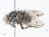  ( - CBG-A06270-B08)  @11 [ ] CreativeCommons - Attribution (2023) CBG Photography Group Centre for Biodiversity Genomics