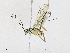  ( - CBG-A17526-E02)  @11 [ ] CreativeCommons - Attribution Share - Alike (2023) CBG Photography Group Centre for Biodiversity Genomics