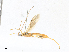  ( - CBG-A17526-H11)  @11 [ ] CreativeCommons - Attribution Share - Alike (2023) CBG Photography Group Centre for Biodiversity Genomics