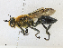  ( - CBG-A17527-E11)  @11 [ ] CreativeCommons - Attribution Share - Alike (2023) CBG Photography Group Centre for Biodiversity Genomics
