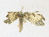  ( - CBG-A17527-F12)  @11 [ ] CreativeCommons - Attribution Share - Alike (2023) CBG Photography Group Centre for Biodiversity Genomics